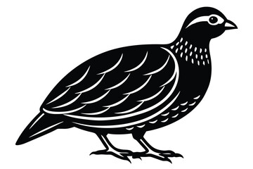 Bobwhite quail vector design silhouette, quail bird silhouette vector illustration design.