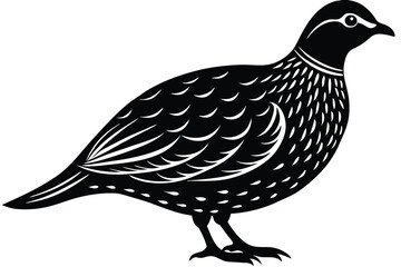 Bobwhite quail vector design silhouette, quail bird silhouette vector illustration design.