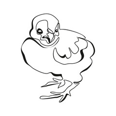 Single continuous line drawing the chick. Cute little chicken. One line design vector illustration