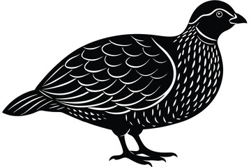 Bobwhite quail vector design silhouette, quail bird silhouette vector illustration design.