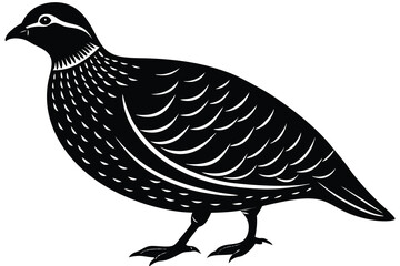 Bobwhite quail vector design silhouette, quail bird silhouette vector illustration design.