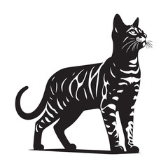 Noble Bengal silhouette, capturing its regal and striking features – Bengal illustration – Bengal vector – cat silhouette

