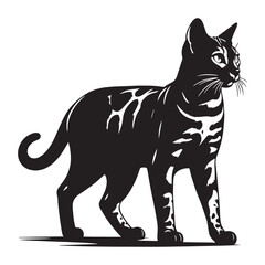 Elegant Bengal silhouette, highlighting its refined yet wild appearance – Bengal illustration – Bengal vector – cat silhouette

