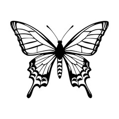 Butterfly Vector Illustration – Intricate Line Art Design for Nature-Themed Crafts, Tattoos, Wall Art, and Digital Projects