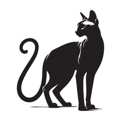 Agile Peterbald silhouette, showcasing its athletic and flexible build – Peterbald illustration – Peterbald vector – cat silhouette

