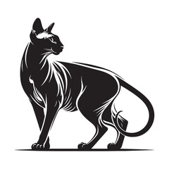 Minimalist Peterbald silhouette, a simple yet striking representation – Peterbald illustration – Peterbald vector – cat silhouette

