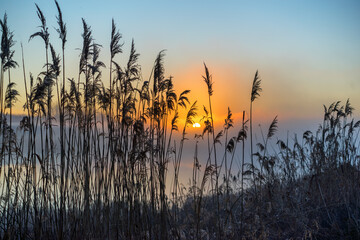 Wiosenny poranek ze słońcem i mgłami, Stawy Dojlidzkie, Podlasie © podlaski49