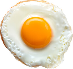 Fried egg on a transparent background 투명한 배경에 계란후라이...