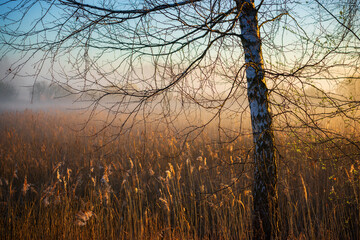 Wiosenny poranek ze słońcem i mgłami, Stawy Dojlidzkie, Podlasie © podlaski49