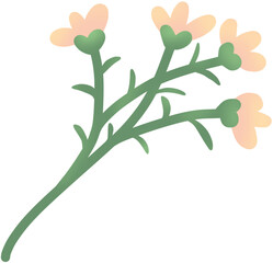 flower and orange flowers