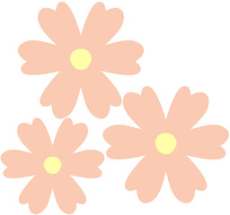 flower and orange flowers