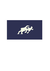 bison logo