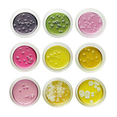 Colorful Petri Dishes with Microbial Cultures in Laboratory Setting
