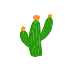 cactus with flower © Nutatida