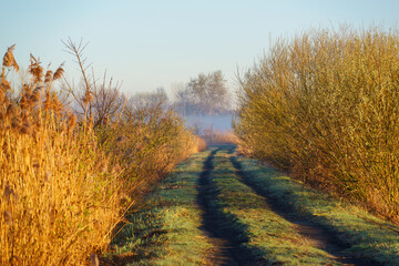 Wiosenny poranek ze słońcem i mgłami, Stawy Dojlidzkie, Podlasie © podlaski49