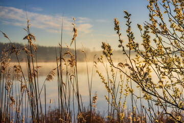 Wiosenny poranek ze słońcem i mgłami, Stawy Dojlidzkie, Podlasie © podlaski49