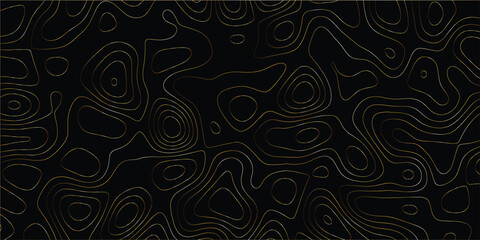 Sophisticated digital abstract design with complex organic patterns, dynamic interlaced lines, and refined layered details

