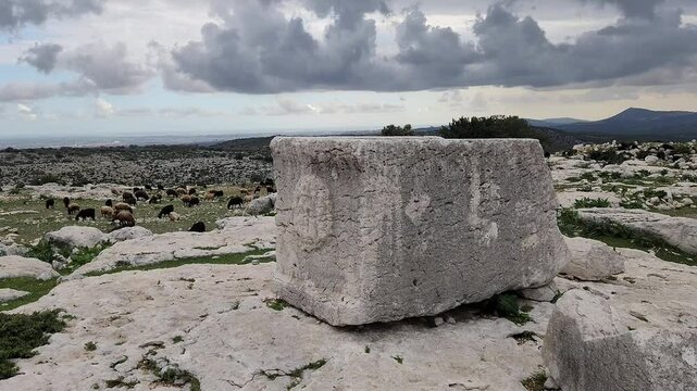 A stone sarcophagus adorned with intricate reliefs, located amidst the ruins of Sakizlik in the Saglikli neighborhood of Tarsus, Mersin.