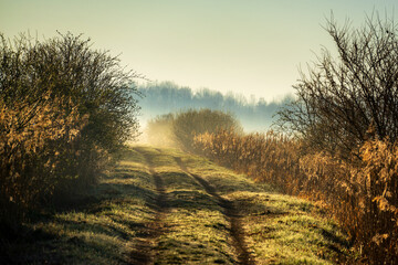 Wiosenny poranek ze słońcem i mgłami, Stawy Dojlidzkie, Podlasie © podlaski49