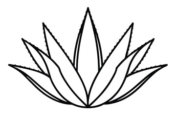 aloe vera icon, silhouette illustration vector.