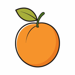 vector illustration of an orange