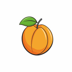 orange fruit isolated on white background