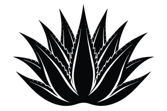 recommend clip art: aloe vera icon, silhouette illustration vector.