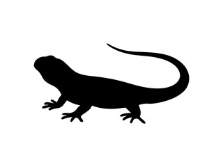 Lizard silhouette vector flat illustration design.