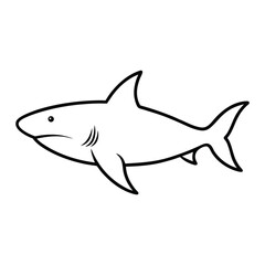 Fototapeta premium shark vector illustration