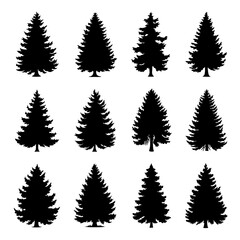 Fir Tree Silhouette Vector Bundle Black and White Clipart EPS Illustration