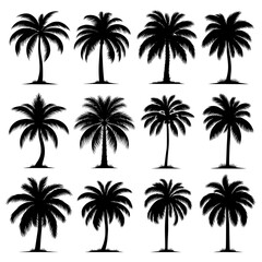 Coconut Palm Silhouette Vector Bundle Black and White Coconut Palm Clipart EPS Illustration
