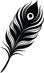 Obraz premium black and white peacock