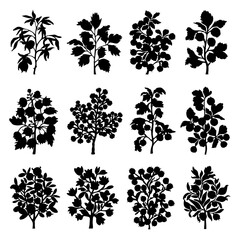 Blueberry Silhouette Vector Bundle Black and White Blueberry Clipart EPS Illustration