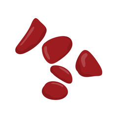 Beef liver vector illustration © 66soloria_