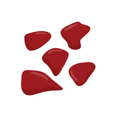 Beef liver vector illustration