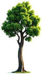 Dark brown isolated tree trunk with branches against light background, natural, tree