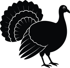 turkey vector illustration