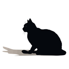 Elegant Cat Outline Illustration