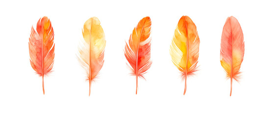 Obraz premium Bird Feathers Pack on Transparent Background for Nature Graphics, Soft Texture Design, or Avian Illustrations