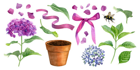 Watercolor set of hydrangea, flower pot, petals, bumblebee, branch, leaves and pink bow isolated on white background. Good for postcards, invitations, greeting cards.