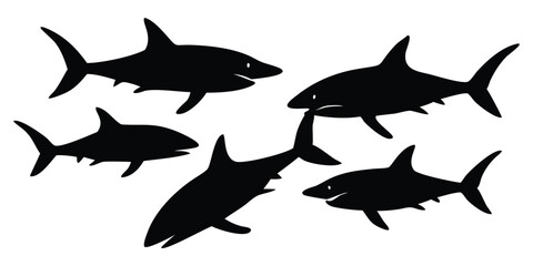 vector illustration of a shark