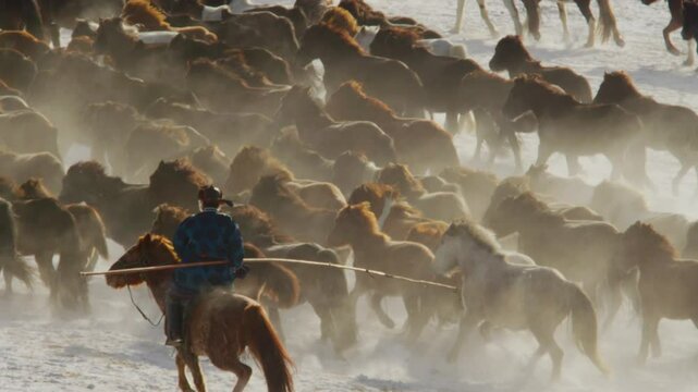A Mongolian herder on horseback drives a powerful herd across snowy plains in Inner Mongolia, enveloped in golden dust and morning light.