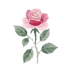 Obraz premium Beautiful pink rose with delicate petals and green leaves on a white background