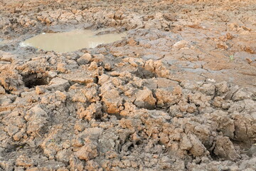 Cracked Earth Texture with Puddle in Dry Landscape During Drought