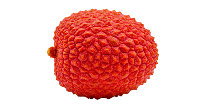 A close up shot of a bright red lychee fruit with a textured peel on a black background in sharp focus