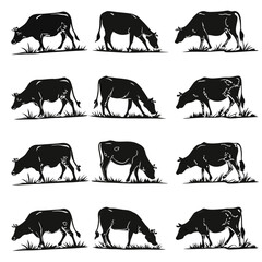 Black Cow silhouette vector icon set isolated on white background.