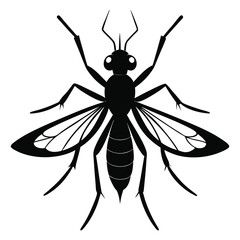 Obraz premium Black silhouette Gnat with no background