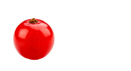 A single red currant with a glossy surface isolated against a stark black background in a studio shot