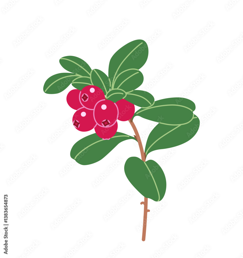 Canvas Prints lingonberry branch with red berries and leaves