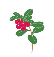 Lingonberry Branch with Red Berries and Leaves